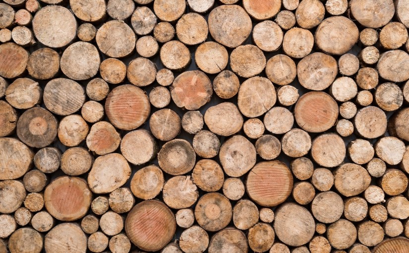 Quick Tip: Adding a Saved Search to LogViewer in Umbraco with&nbsp;code